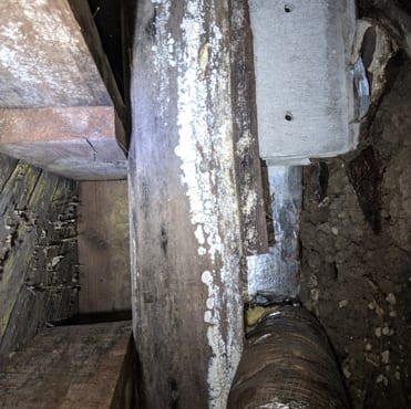 Wood rot Wood rot