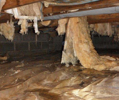 Crawlspace repair solutions and services