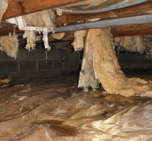 Crawlspace repair solutions and services