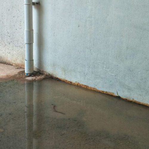 Standing Water Standing Water