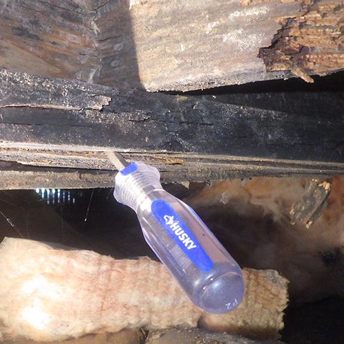 Wood Rot Wood Rot