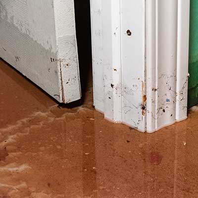 Poor drainage Poor drainage