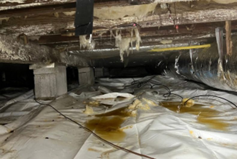 How Do I Know My Crawlspace Needs Attention?
