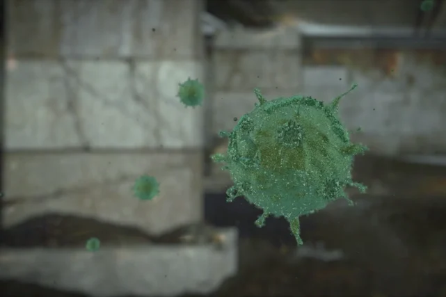 How To Reduce Allergens In Home