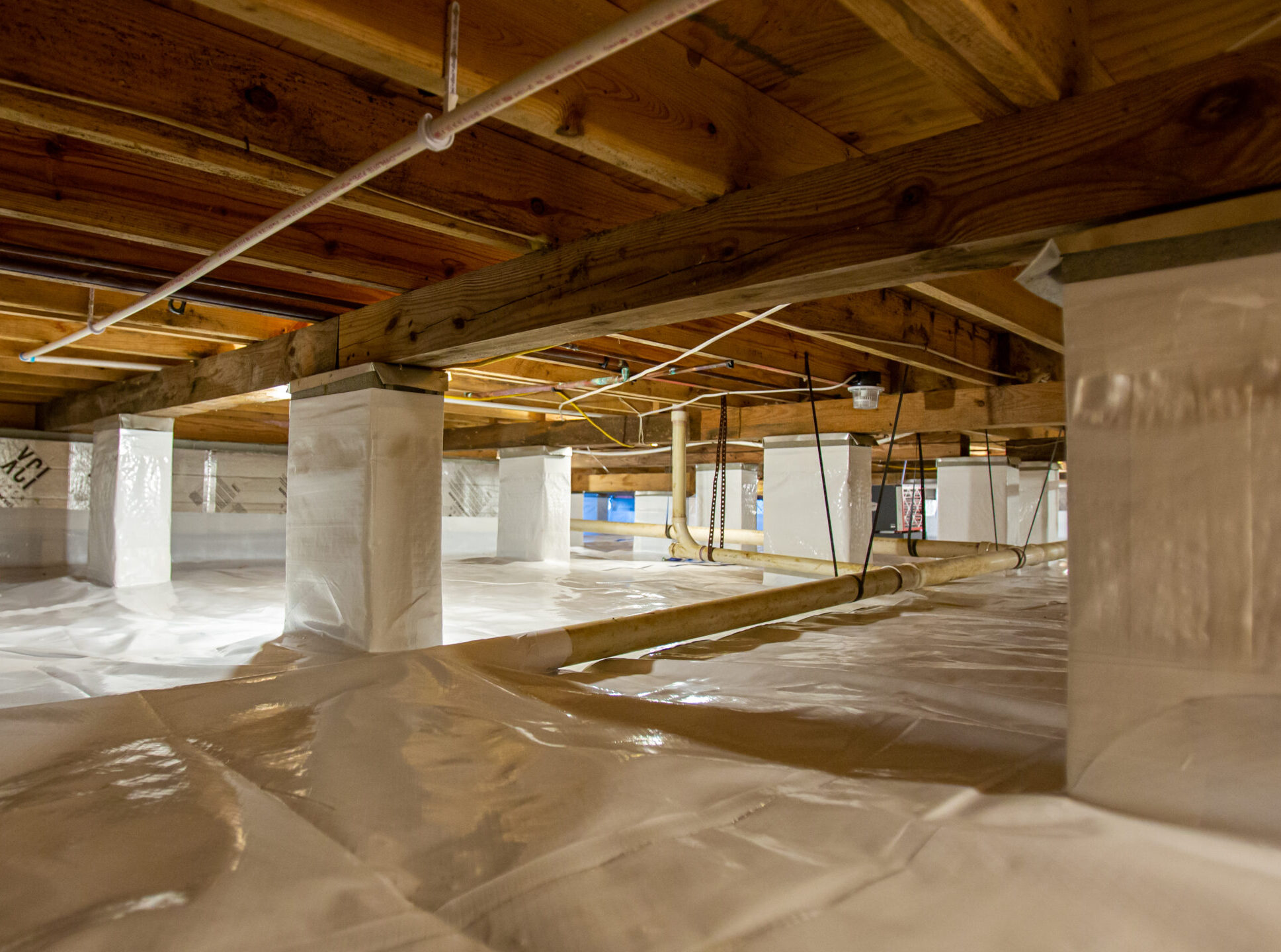 CV1B4445-scaled-e1750771229380