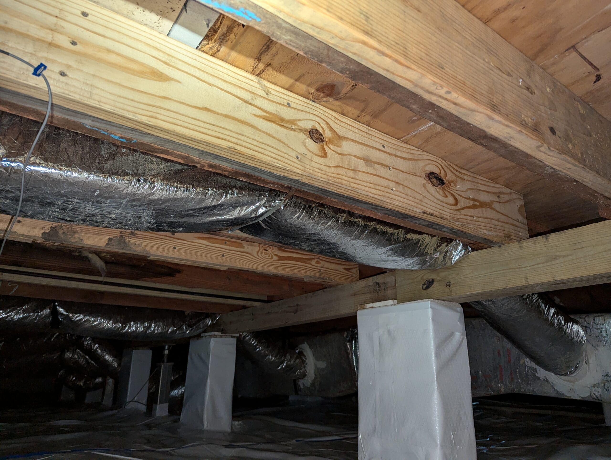 PXL_20250521_161521550-image