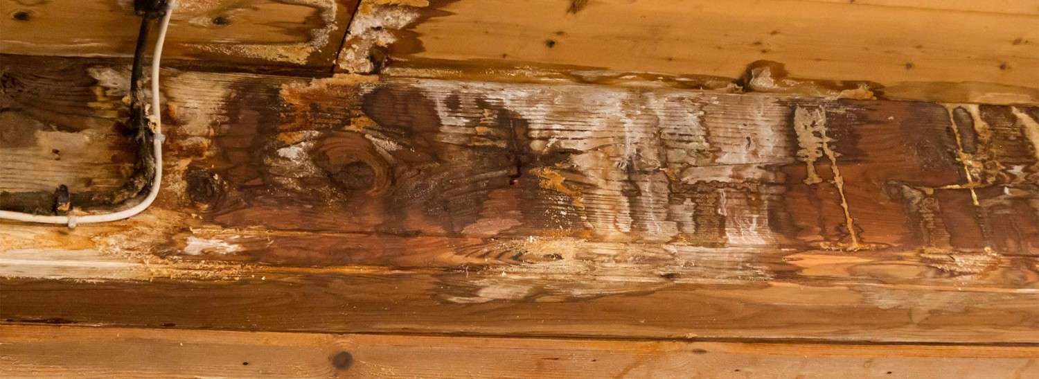 Crawlspace Refresh in Hampton Roads, Richmond & Northeastern NC. Virginia Foundation Solutions