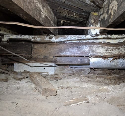 Structural Repair Problems in Hampton Roads, Richmond & Northeastern NC. Virginia Foundation Solutions