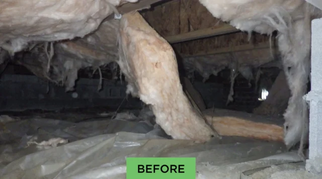 From dark, damp, and neglected… to clean, bright, and protected!

A properly sealed crawl space helps prevent moisture, mold, and structural issues—protecting your home from the ground up.

🛠️ Ready for your own transformation? We offer free inspections and expert solutions tailored to your home’s needs!

#CrawlSpaceTransformation #BeforeAndAfter #FoundationRepair