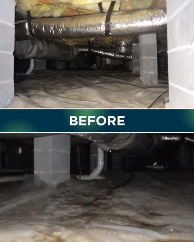 ✨ From damp and messy to clean and protected! ✨

Swipe ➡️ to see this crawlspace transformation before vs. after encapsulation. Big difference, right? 💪

Would you feel comfortable with your crawlspace looking like the “before”? 👀

 #crawlspacerepair #transformations #beforeafter