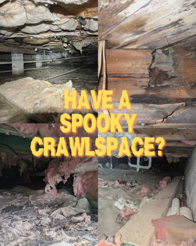 🕷️😬Spiders, smells & spooky surprises under your home? Don’t scream😱Call us!