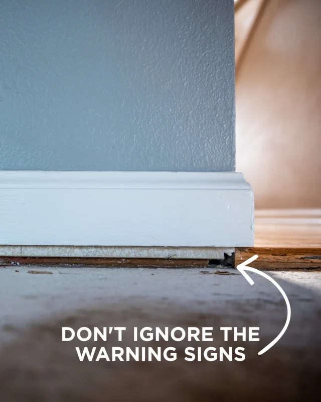 That gap between your floor and baseboard isn’t just cosmetic. It could be a sign your foundation is settling.

The good news? We know how to help. Let’s fix the problem before it gets worse. 🏠💙

 #warningsigns #foundationrepair #HomeRepairs