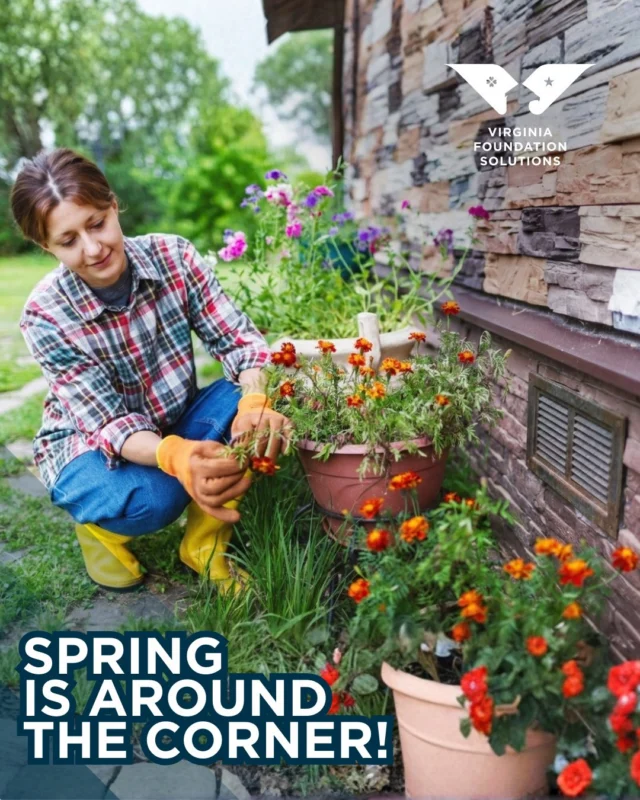 🌷☀️ While you’re planting flowers and freshening up the yard, don’t forget about what’s underneath it all. Your foundation plays a big role in keeping your home strong and protected.

Get ahead of the season and schedule your free inspection today📅

 #springtime #springisaroundthecorner #springishere